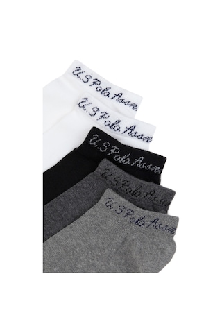 U.S. Polo Assn. 5' Li Patik Çorap James Cora GRİ MELANJ