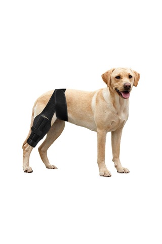 Vkemall Köpek Diz İçin Destekli Protez - Acl Hasarı, Patella Değişikliği Ve Enflamasyon İçin Rehabilitasyon Bandı - Siyah L