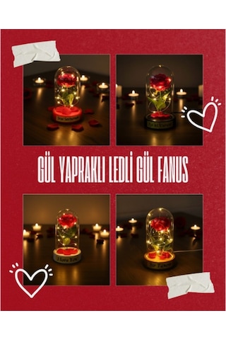 Gül Yapraklı Işıklı Ters Fanus İçinde Gül Obje