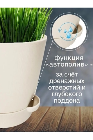 Interm Menekşeler, Sukulentler Ve Kaktüsler İçin Küçük Çiçek Saksısı 52390371