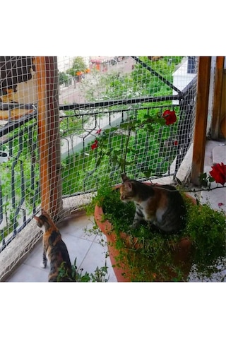 Nzl File Ambalaj Balkon Filesi - Kuş Filesi - Kedi Filesi - Kedi Ağı - 2 CM Gözenekli - 1.5 Mm İp
