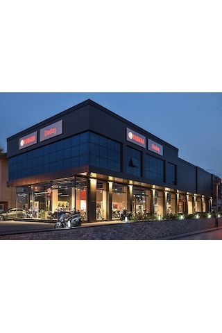 Putoline Zincir Ve Motor Yağ Gres Temizleyici 500 ML