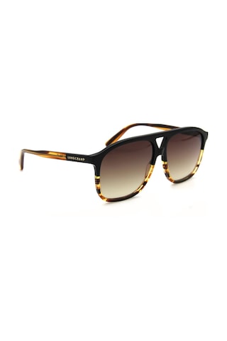 Longchamp Lo 751s C011 Erkek Güneş Gözlüğü Kahverengi