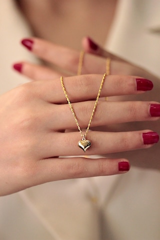 Diamine 14 Ayar İnce Altın Halat Burgu Kalp Kolye