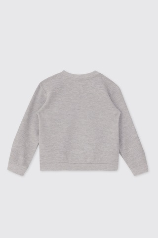 Panço Erkek Bebek Yakası Düğmeli Gri-melanj Sweatshirt