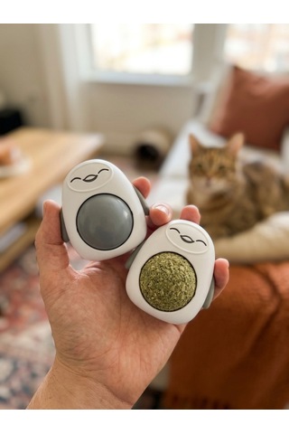 Gri Sevimli Karakter Tasarımlı Kedi Nanesi Topu - Duvara Yapışan Dönen Catnip Oyuncağı