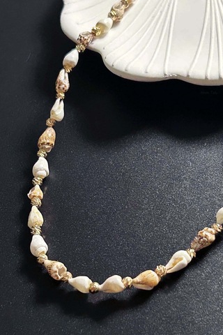 Deniz Kabuğu Kolye 425, Bej - Beyaz Çok REnkli