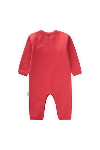 Tulum 0-3 Yaş Mercan Mercan