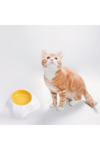 Homyl Köpek Kedi Besleyici Yumurta Sarısı Tasarım
