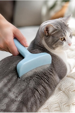 Busstier Kedi Ve Köpek Tüy Toplama Tarağı