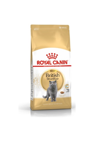 Royal Canin British Shorthair Yetişkin Kedi Maması 2 KG
