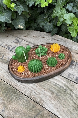 Rufus Concept Saguaro Kaktüs Mum Kalıbı Silikon Çok Renkli