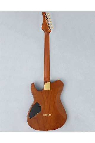Fujigen Iliad Elektro Gitar Eılew1hsrm/hcb