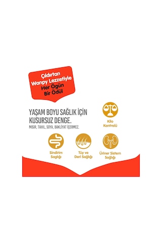 Wanpy Somon Balıklı Tahılsız Yetişkin Kedi Maması 8 Kg