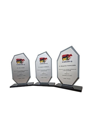 Özcan Tasarım Öğretmene Plaket - Kişiye Özel Plaket - Cam Plaket Altın