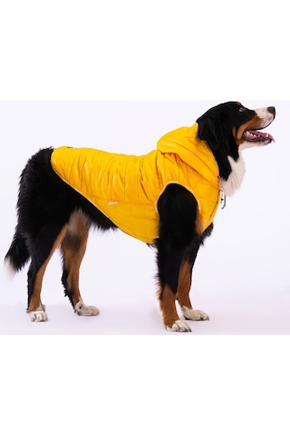 Pawstar Sarı Railway Orta ve Büyük Irklar İçin Anorak Yelek Köpek Yeleği