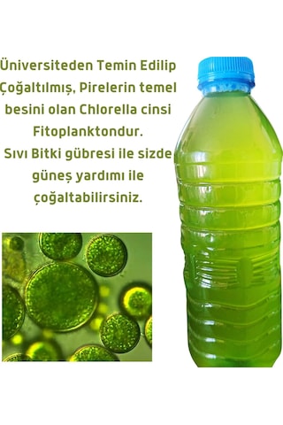 Mawrond Fitoplanktonlu Yeşilsu Chorella Yosunu 500 ML