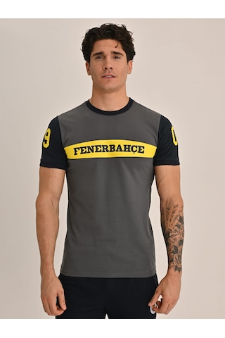 Fenerbahçe Erkek Kolej 1907 Fb Tshırt Gri