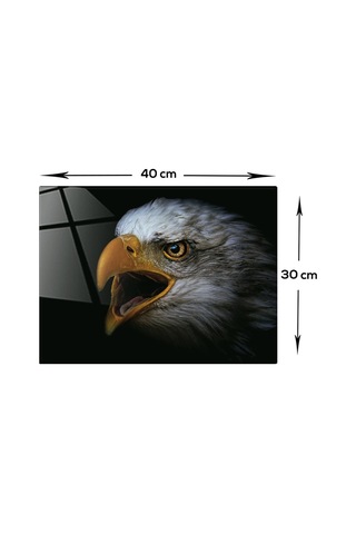 Decorıta Hayvanlar | Cam Tablo | Kartal - Yatay Görünüm