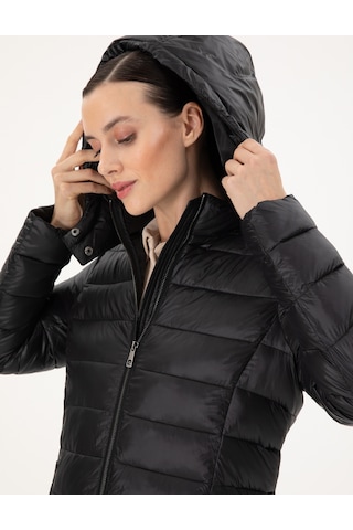 Pierre Cardin Kadın Siyah Mont 50297332-vr046