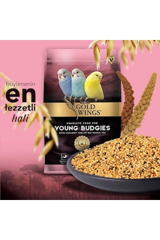 Gold Wings Premium Yavru Muhabbet Yemi 1 Kg