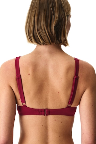Penti Bordo Evelyn Balen Bikini Üstü Br37