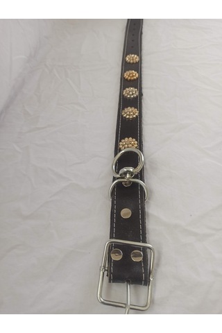 Kozaklı Deri Köpek Tasması Siyah 60 x 65 x 70 CM Siyah