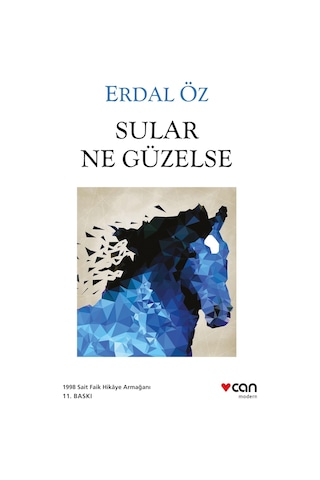 Sular Ne Güzelse - Erdal Öz - Can Yayınları