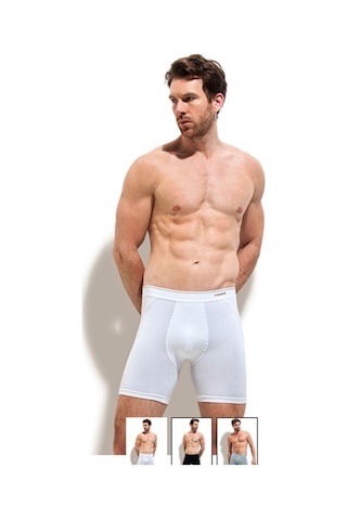 Erdem 1470 3'Lü Likralı Uzun Erkek Boxer Erdem 1470 3'Lü Likralı Uzun Erkek Boxer