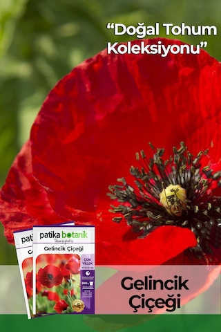 50 Adet Gelincik Çiçek Tohumu Papaver Rhoeas