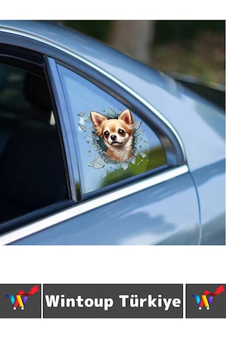Özel Tasarım Araç Dış Modifiye Eğlenceli Yaratıcı Şık 3d Evcil Hayvan Kedi Köpek Sticker 10 X 10 Cm