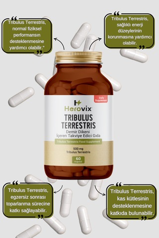 Tribulus Terrestis 500 Mg 60 Kapsül