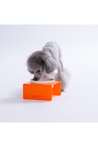 Turuncu Tekli Seramik-pleksi Mama Ve Su Kabı-kedi Köpek Mama Su Kabı