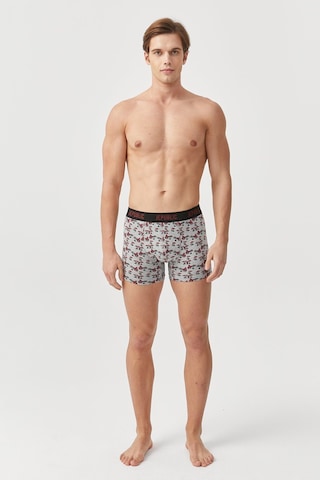 Jepublic Erkek Boxer-j232502 Gri