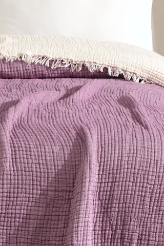 Varol 5 Katlı %100 Pamuk Müslin Yatak Örtüsü 230x240 Cm Mor/cıftkısılık Mor