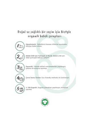 5'li Penye Soket Kutulu Basic Çorap 10131 Gri Çok Renkli