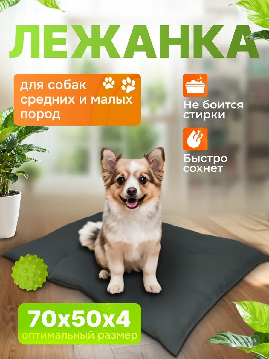 Gurenkot Köpek Yatağı 245497195