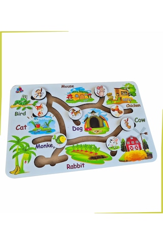 Beyaz Hareketli Hayvanlar Ve Besinleri