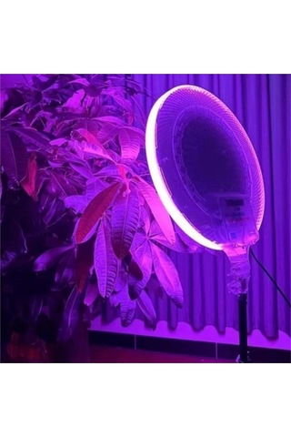 Nettech Cs-2600 Rgb Ringlight 8 İnç Led Işık