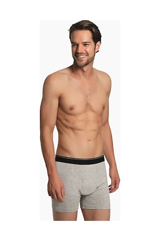 Aria's Closet Arias Closet Renkli 3'lü Boxer Asorti Short 3'lü Asorti Xxl Nhr Çok Renkli
