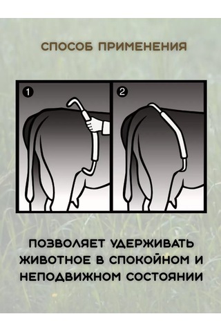 Exmork Koyunlar İçin Galvanizli Çelik Adjustable Boğa Yelpazesi 1 Adet 161121625