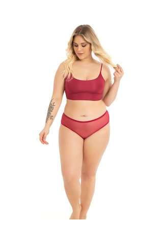 Transparan Tüllü Dantel Ve Taş Detaylı Özel Bölgesi Açık Büyük Beden Kadın Tanga Külot 3'lü Paket-2 Renkli-3