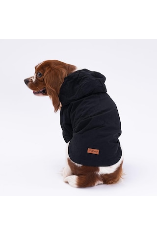 Siyah Mont Köpek Mont Köpek Kıyafeti Köpek Yağmurluğu Küçük-büyük Irklar