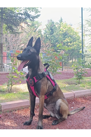 Tactical Göğüs Tasması Taktik Tasma Pembe