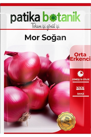 450 Adet Yerli Ata Mor Soğan Tohumu