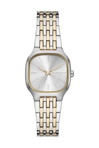 Skagen Watches Skw3160 Kadın Kol Saati Metalik Gri