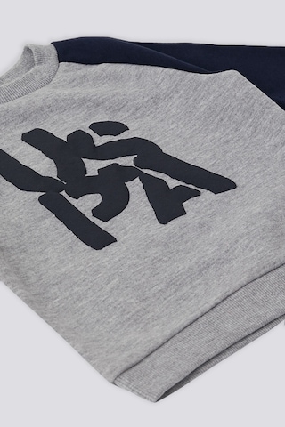 U.s. Polo Assn. Erkek Bebek Gri 2'li Takım Gri