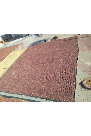 Zeytin Toplama Filesi - 4X8 M Yeşil