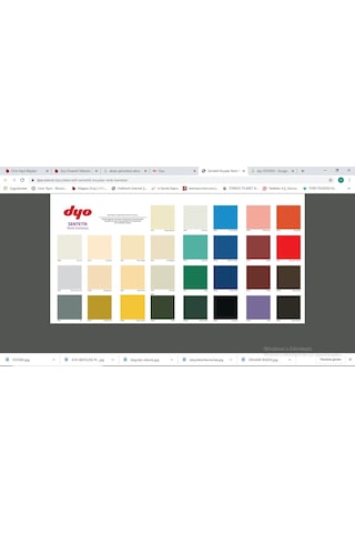 Dyo Dyosen Sentetik Yağlı Boya 2,5 Lt