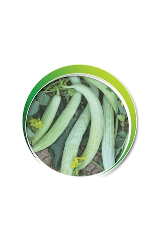 Makrogen Acur Tohumu 10 Gr